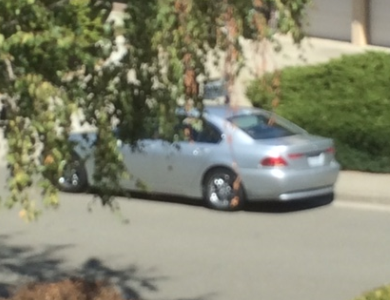 Illustration for article titled Thieves Steal Retiree's '67 Mustang Drag Racer From Right In Front Of His House